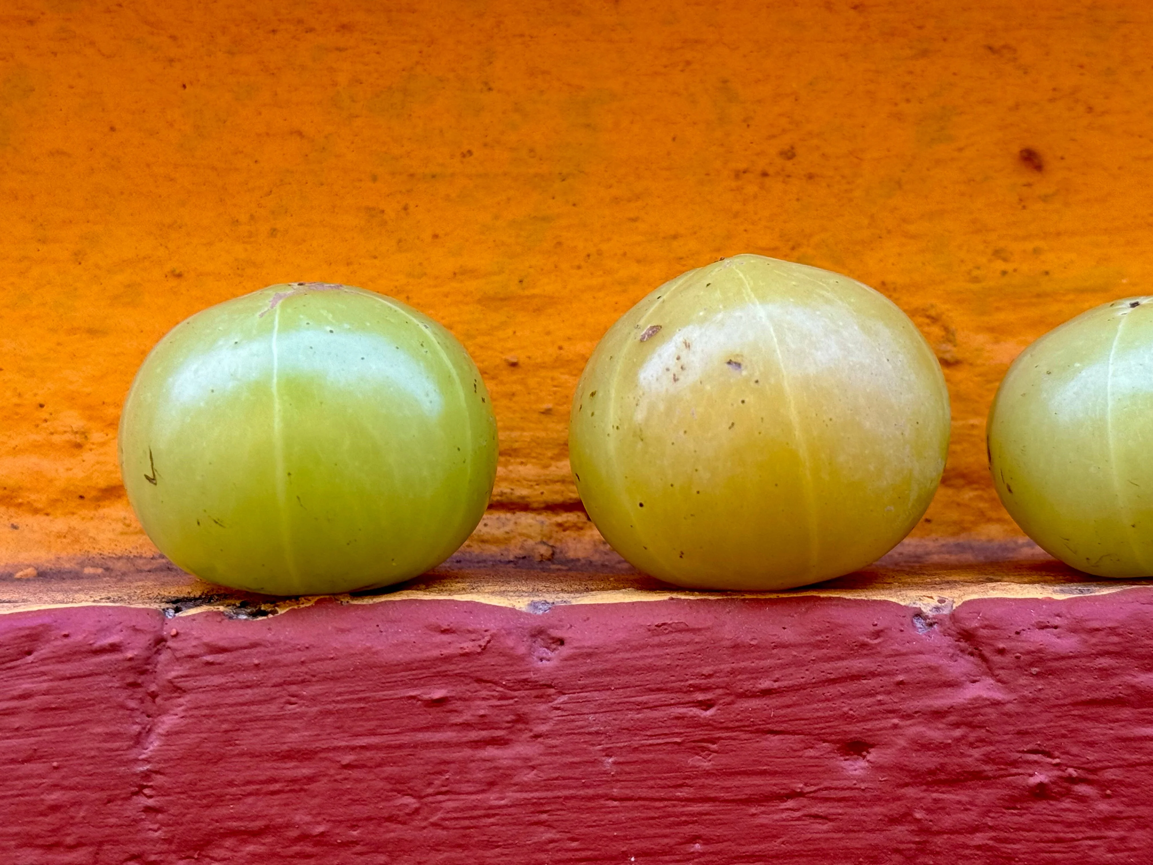 The Power of Amla - Image 2